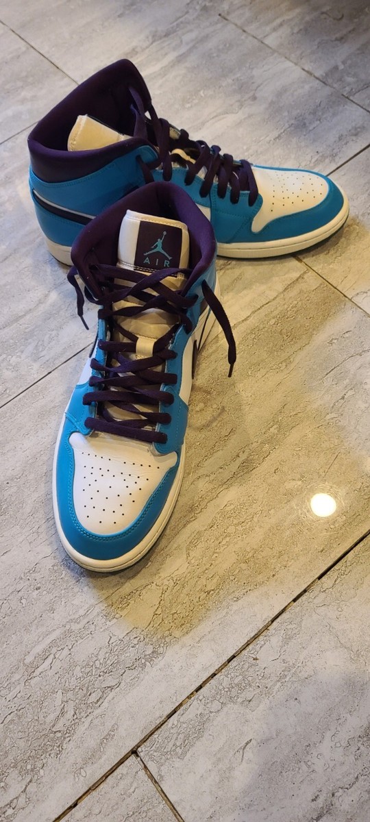 Size 12 Nike Air Jordan Mid Hornets