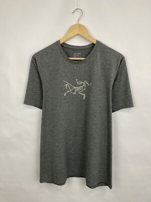 Y2K Arc'teryx Outdoor T-Shirt Rare Retro Hype size L color grey | eBay