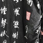 Foto 7 di 13