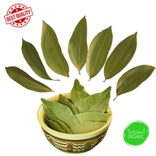 Cinnamon leaves/Tej patta leaves/Indian bay leaves sun dried srilankan 50 leaves