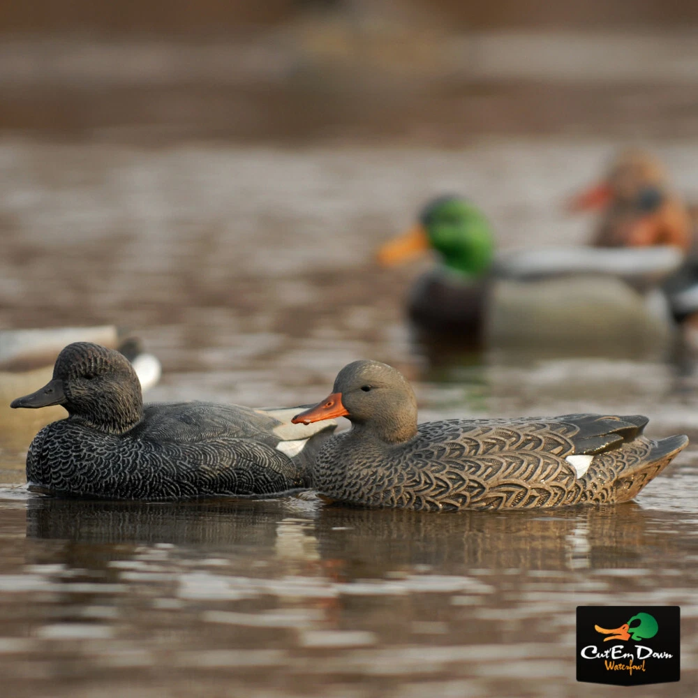 Greenhead Gear Gadwall Decoys - Thumbnail 4