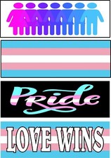 Set of 4 magnetic bumper stickers magnets transgender FLAG PRIDE LOVE WINS