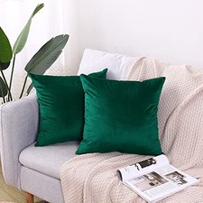 2 Pack Soft Velvet Couch Throw Pillow Covers 16x16 Inch for Sofa Living Room