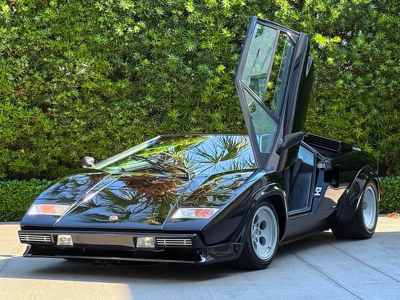 Factory Lamborghini Countach Fuel Injection System OEM Complete Plenum Bosch