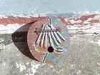 7 Key Finger Piano Kalimba Coconut Shell Thumb Musical Instrument Hand Painted