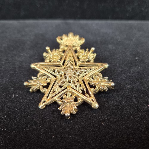 Heraldic Heraldry Badge Star Crown Medal Gold Tone Metal Brooch Pin Roleplay - Picture 2 of 8