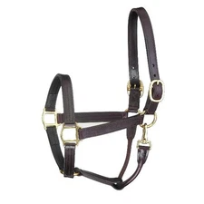 Perris Track Leather Show Halter Snap Brown