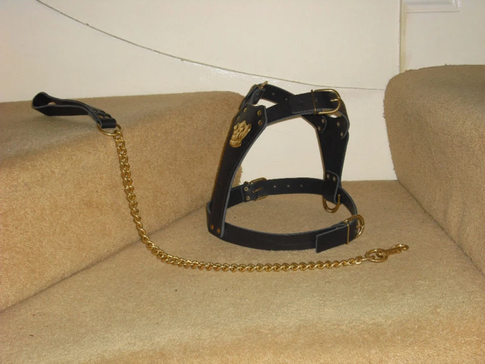 BLACK PADDED LEATHER DOG HARNESS FOR STAFFY WITH LEAD BRAND NEW - Image 4 of 4