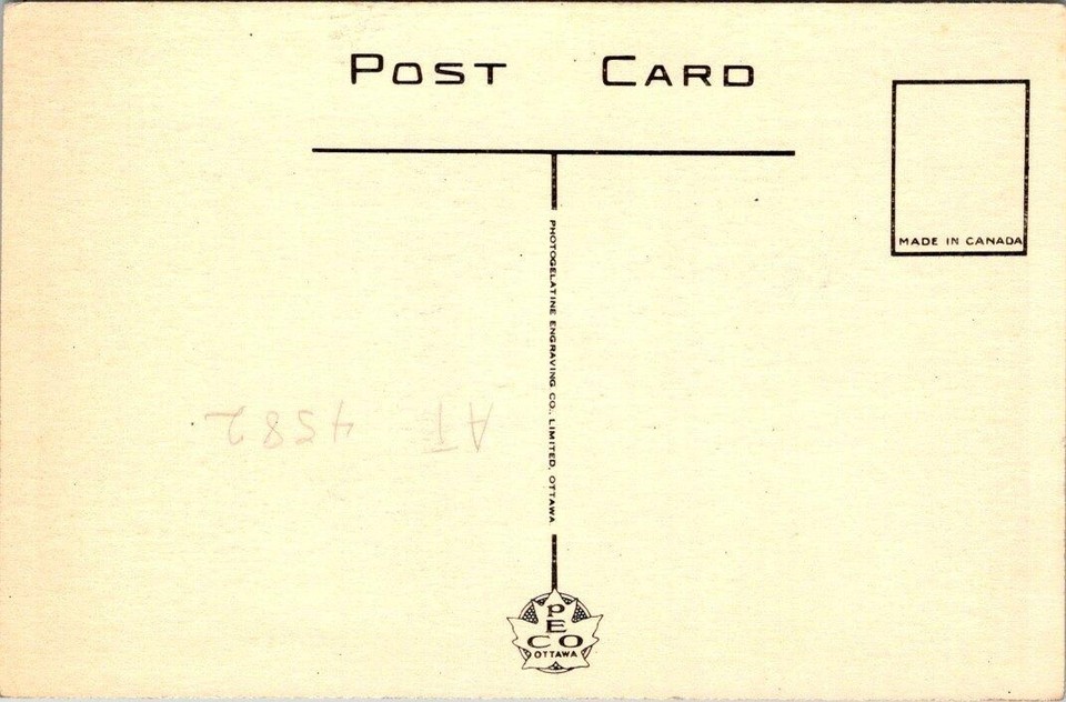 VINTAGE AMERICAN FALLS, NIAGARA FALLS, CANADA OLD CARS Postcard eBay