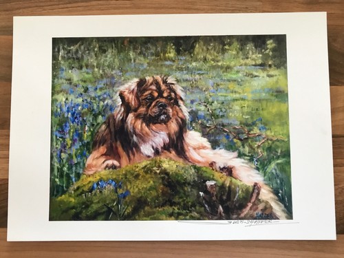 Tibetan Spaniel Signed Dog Print by Susan Harper Unmounted - Picture 2 of 2