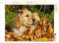 Calvendo Puzzle Autumn Colors | 1000 Pieces, Finished Size 25.2 × 18.9 In (64 ×
