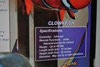 RC AIR SWIMMERS FLYING CLOWNFISH ARF KIT 57" LONG w/TAIL BY WILLIAM MARK CORP — photo 4
