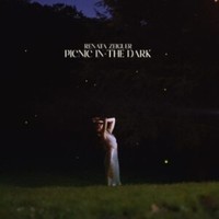 Zeiguer - Picnic In The Dark Dl Card - Vinyl Record - F600Z