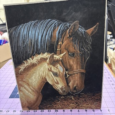 Bonding Mare and Foal Horses Paint by Numbers for Adults 11x14 In DIY Painting