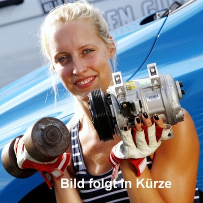 Differential für Volvo EX40,S60,S90,V60,V90,XC60,XC90 AWD (2021-) 36011763 (2)