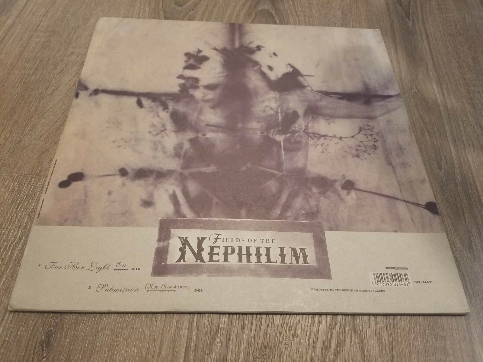 Fields Of The Nephilim Wallpaper 
