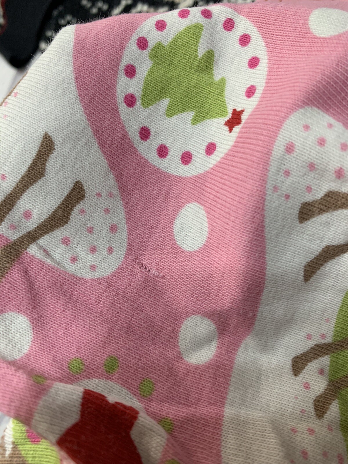Picture 6 of 6