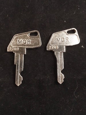 Tec Key 2000 TEC CASH REGISTER, MGR KEY, #2703, SET OF 2 | eBay
