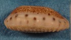 Foto 3 di 4