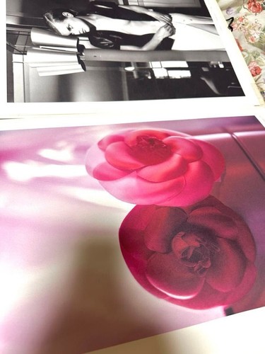 CHANEL Cruise Collection 1996-1997 Photocards Karl Lagerfeld from Japan Rare - Picture 7 of 9