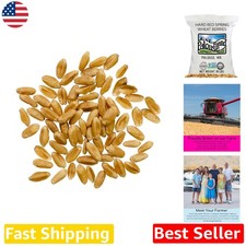 Authentic Farm-to-Table Wheat Berries 18 LBS  Non-GMO, Glyphosate Residue Free
