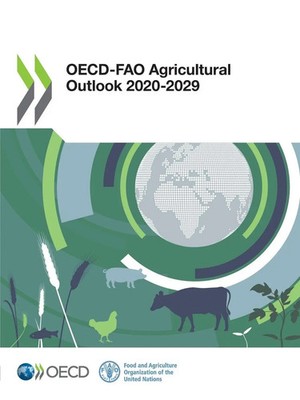 Oecd | OECD-FAO Agricultural Outlook 2020-2029 | Taschenbuch | Englisch (2020)