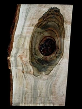 XL Mind BLOWING Curly HARDWOOD AMBROSIA  Maple Burlwood Slab Craft wood EPOXY 