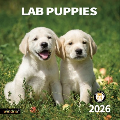 2026 Wall Calendar Lab Puppies 12''x24'' - Organize & Plan Effortlessly