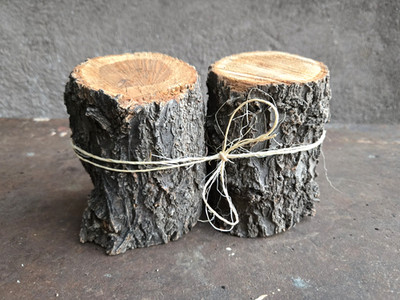 2 APRICOT WOOD LOGS 3''D 5''H STRAIGHT PILLAR CHUNKS Carving Crafts Art Live Edge