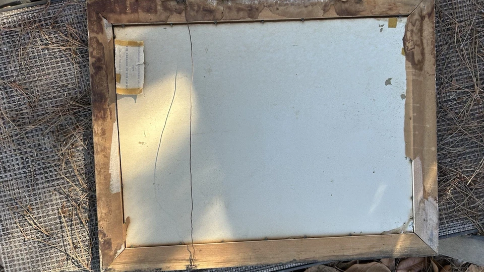 Pintura Aerógrafo Peces Tropicales Hawaianos Honolulu Tip Freeman Firmado Original Foto 3 de 4