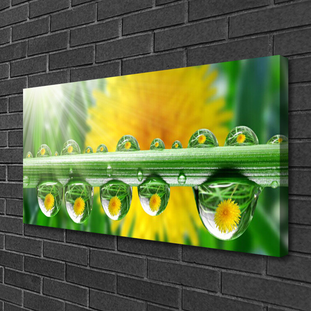 Photo sur toile floral rosée 100x50 impression haute définition