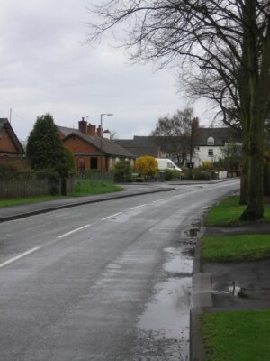 Foto 6x4 von Baum gesäumte Straße in Elford Elford\/SK1910 um 2006