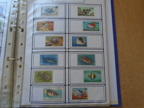 Fish & Sea Life - Como nuevo y usado / Colección CTO en carpeta. Ver fotos abajo. - Imagen 14 de 24