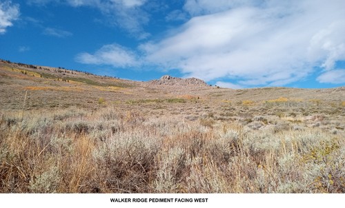 10 Unpatented Lode Mining Claims in Nevada -- Walker Ridge
