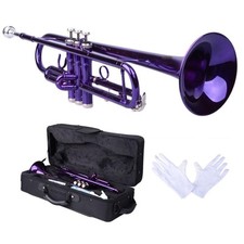 Student Concert Bb Trumpet w/ Case Mouthpiece for Beginner Brass