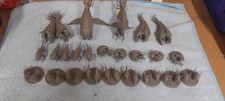 Hive Fleet Full battlefleet, Grimdark future,...