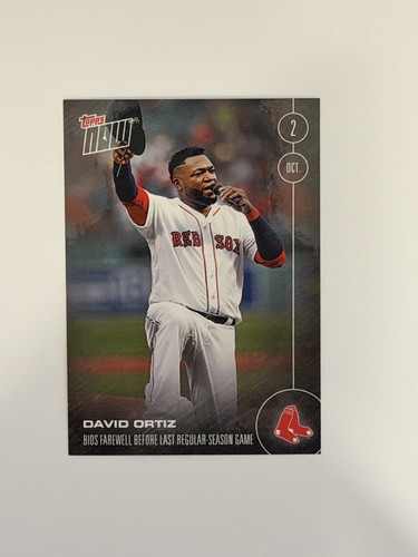 2016 David Ortiz #530