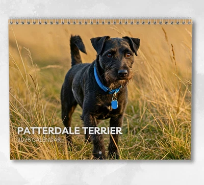 BOYCE PUBLISHING Patterdale Terrier Calendar 2026: Monthly Wall Calendar with Notes, opens to A3
