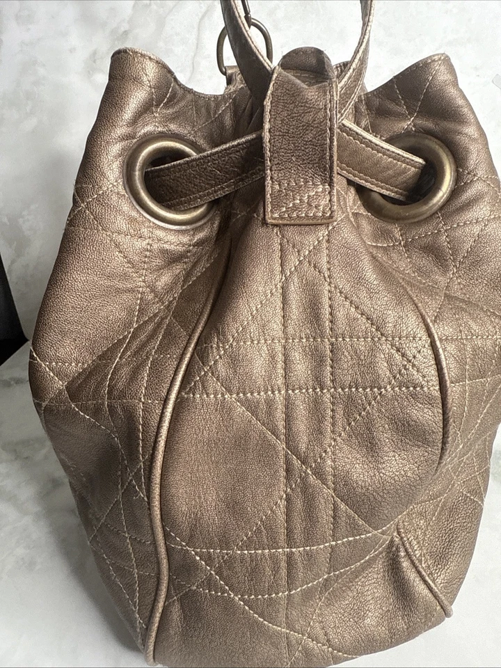 Bolso cubo hobo Christian Dior Carnage Foto 3 de 4