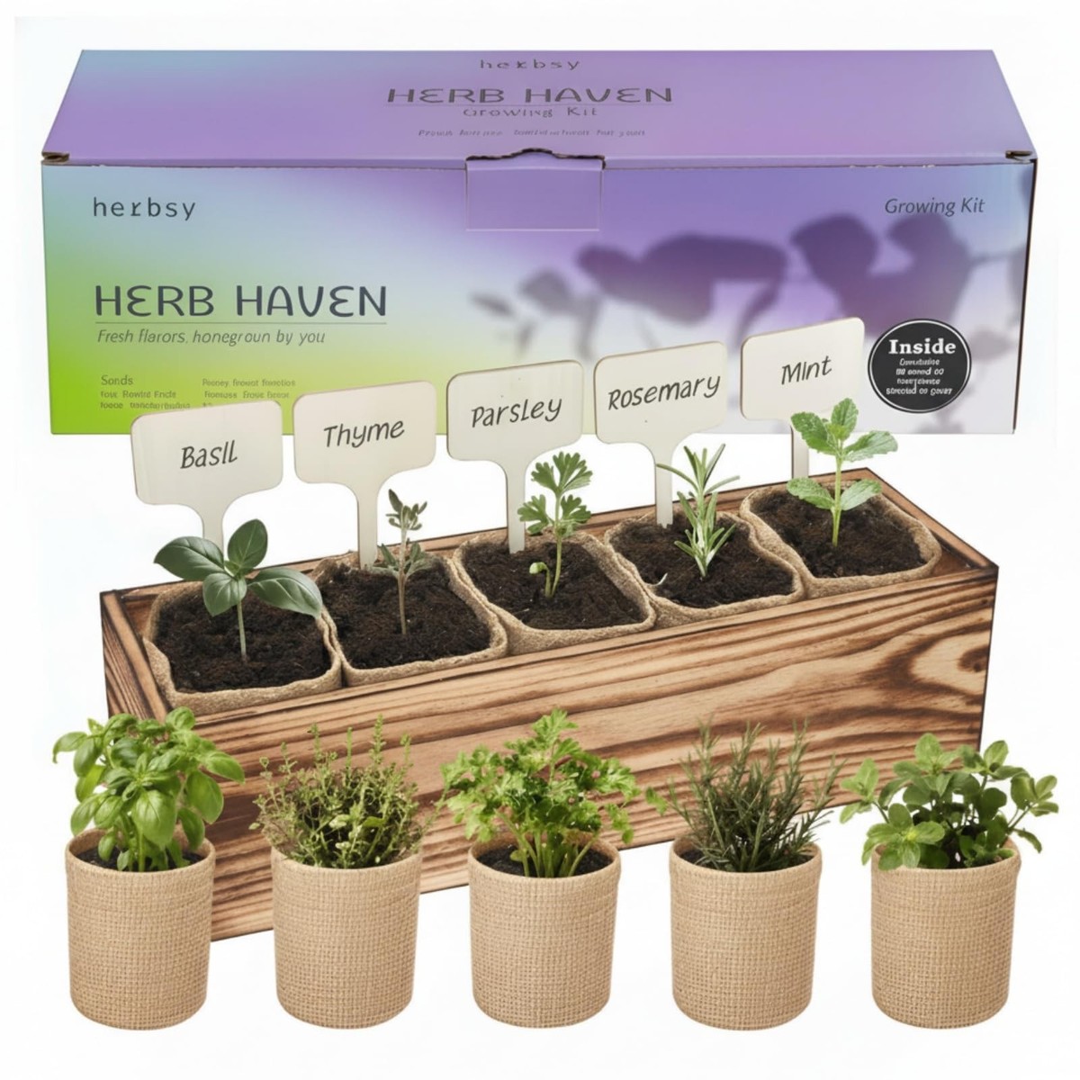 5 Herb Garden Kit with Wooden Box - Including Basil, Thyme, Seeds