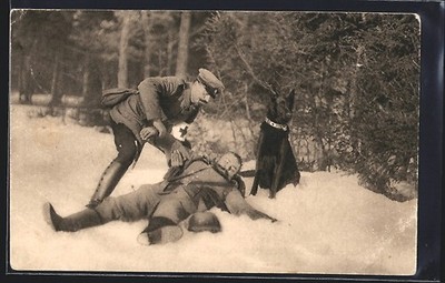 AK Sanitätshund Ago hat einen Verwundeten vor dem Erfrieren gerettet 1916 