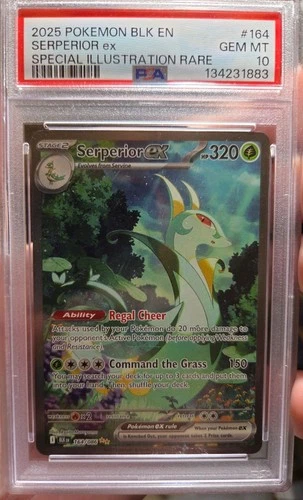 Pokemon Serperior EX 164/086 Black Bolt Special Illustration Rare SIR PSA 10 💎