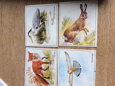 T1-6 4x Quaker Sugar Puffs Natur Trek Trade Cards