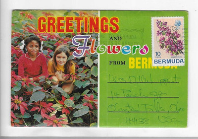 POSTCARD FOLDER-GREETINGS AND FLOWERS FROM BERMUDA