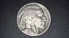 1929-P Buffalo Nickel - Full Date Visible - Complete Your Set!