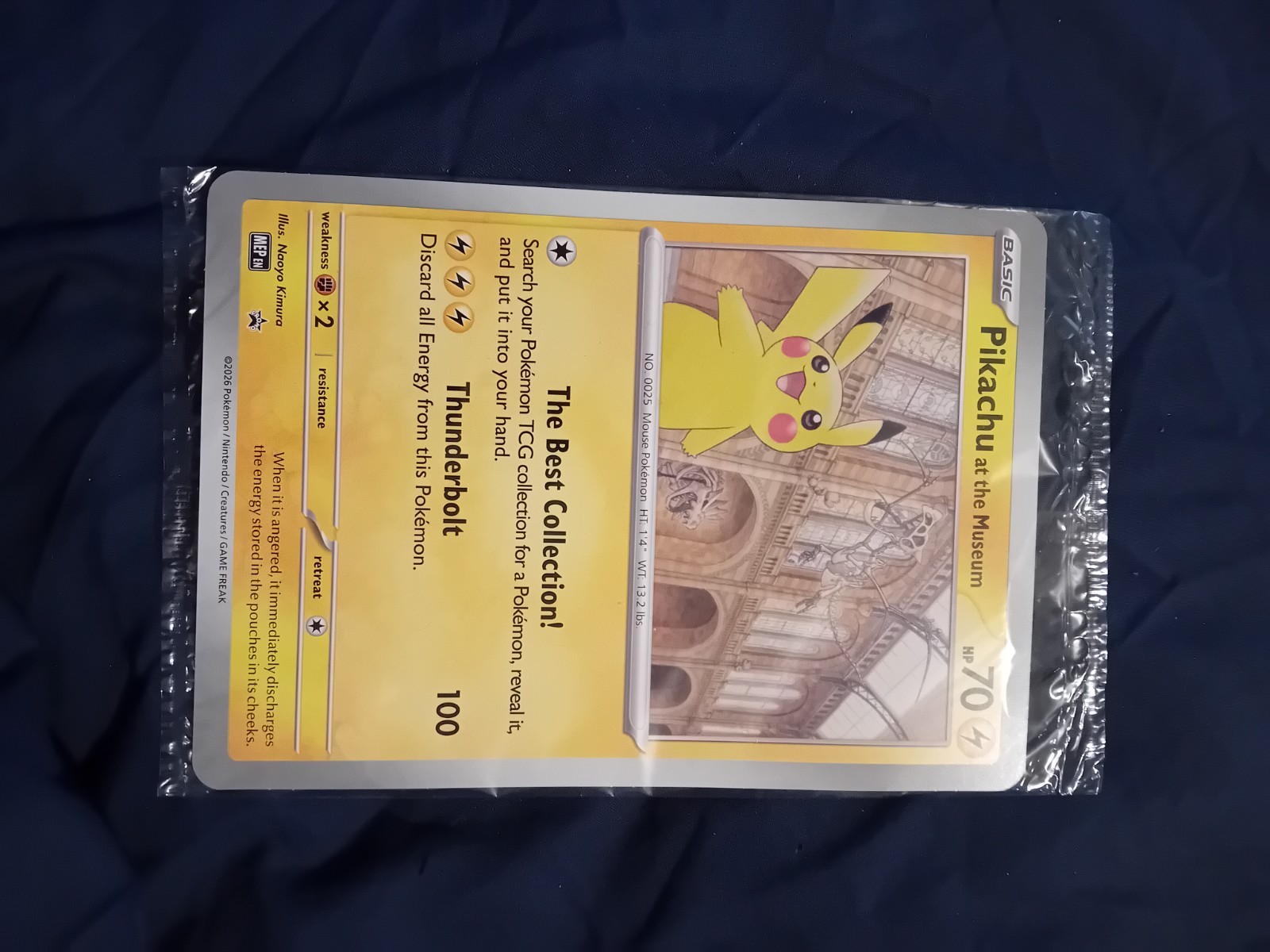 Pikachu at the Museum Jumbo Cards Regular