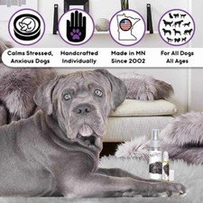 Cane Corso Relax Dog Aromatherapy  Calms Frightened, Anxious Dogs Naturally
