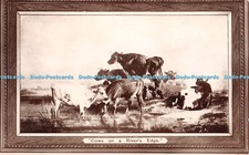 R372095 Cows on a River Edge Boots Cash Chemists Real Photographic Series Thomas
