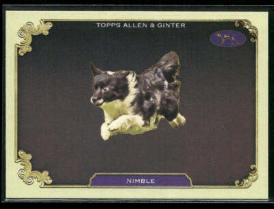 2024 Topps Allen & Ginter #SOS-34 Nimble