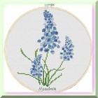 Bild 7 von 7
